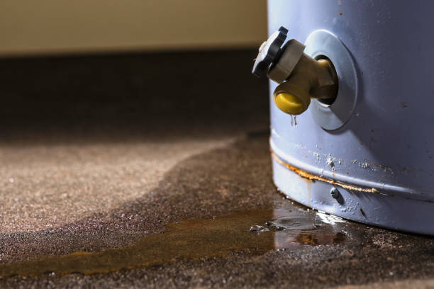 Best Water damage restoration mold remediation  in Algonquin, IL