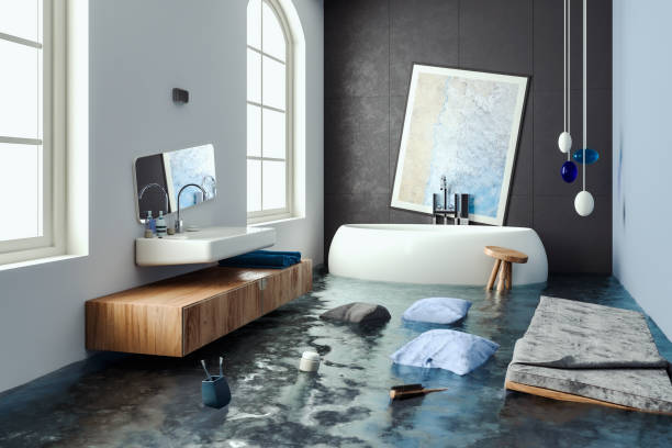 Sewage cleanup and water damage restoration in Algonquin, IL