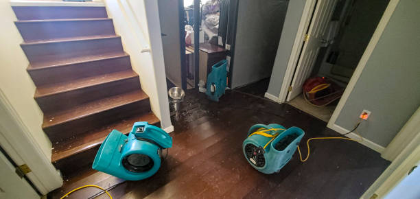 Best Professional water damage repair  in Algonquin, IL
