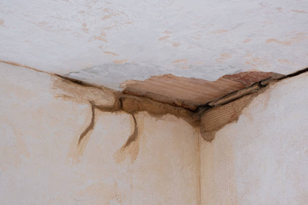 Best Residential water damage restoration  in Algonquin, IL