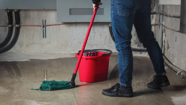 Best Local water damage restoration  in Algonquin, IL