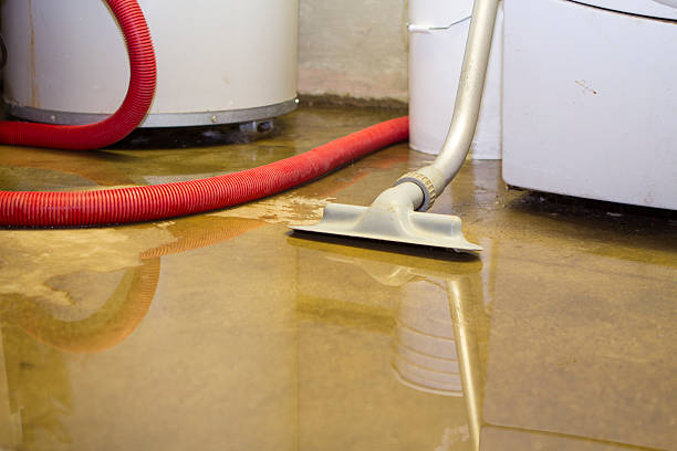 Algonquin, IL Water damage restoration Pros