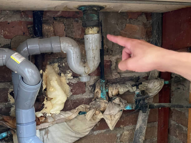 Best Flood restoration services  in Algonquin, IL